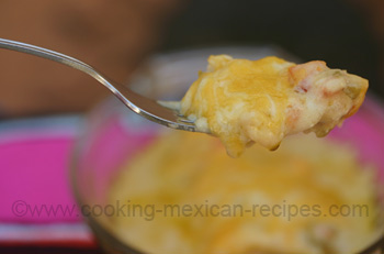 Sour Cream Chicken Enchiladas With A Delicious Sour Cream Sauce