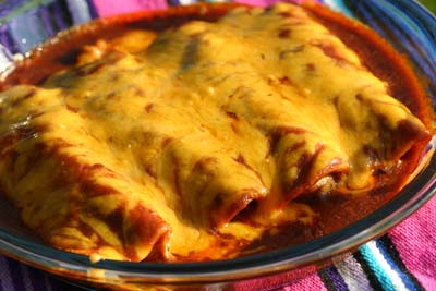 Chicken Enchilada Recipes